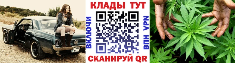 Где купить наркотики Мышкин Галлюциногенные грибы  Метамфетамин  APVP  Марихуана  COCAIN  Меф 
