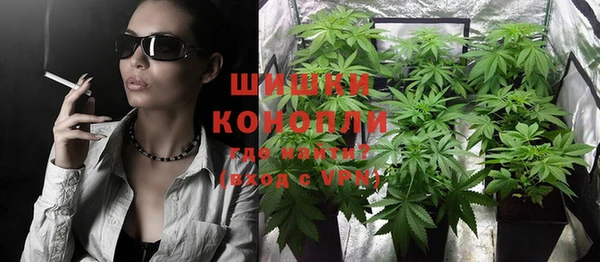 не бодяженный Бородино