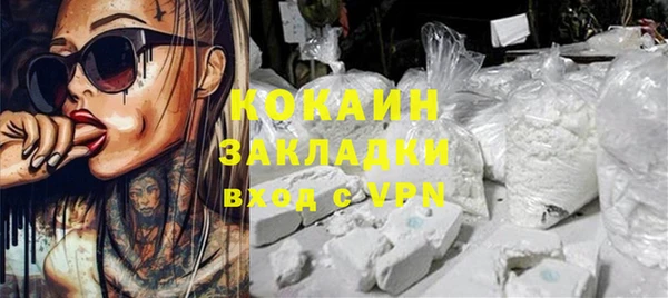 не бодяженный Бородино