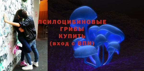 не бодяженный Бородино