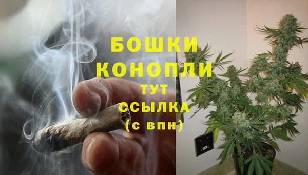 стаф Бугульма