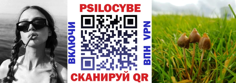 Псилоцибиновые грибы мухоморы  MEGA зеркало  Мышкин  что такое  