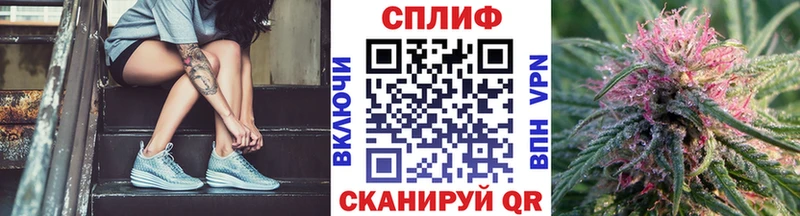 закладка  Мышкин  Бошки Шишки семена 